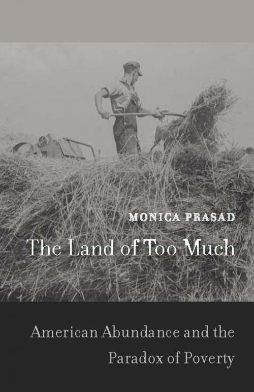 Cover of the book The Land of Too Much by Monica Prasad, Harvard University Press