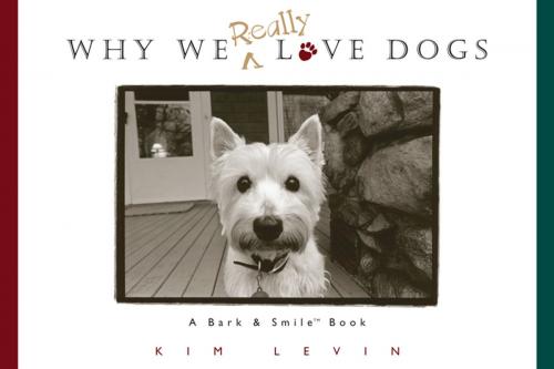 Cover of the book Why We Really Love Dogs by Kim Levin, Andrews McMeel Publishing, LLC