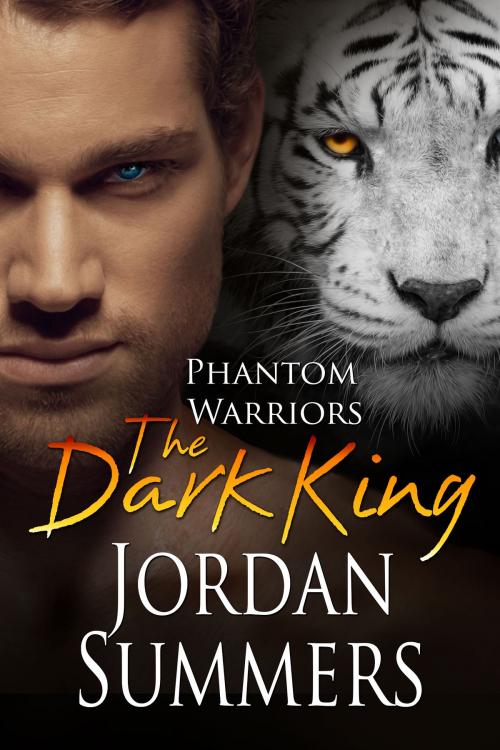 Cover of the book Phantom Warriors 7: The Dark King by Jordan Summers, Jordan Summers
