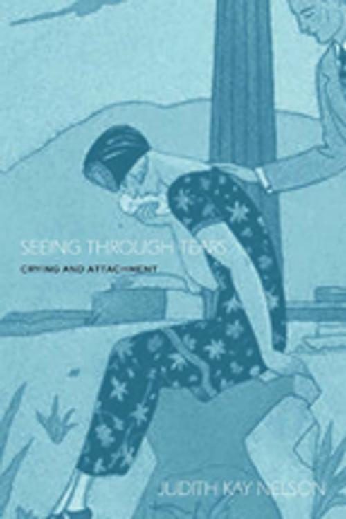 Cover of the book Seeing Through Tears by Judith Kay Nelson, Taylor and Francis