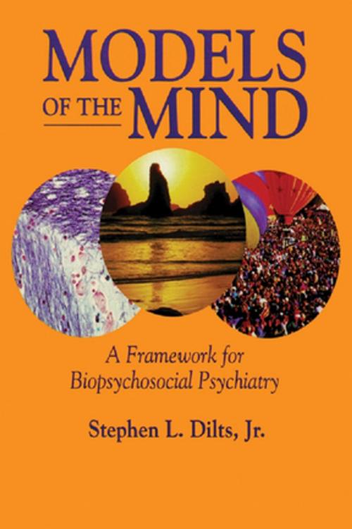 Cover of the book Models of the Mind by Stephen L. Dilts, Taylor and Francis