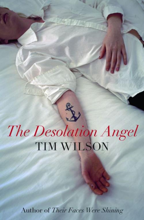 Cover of the book The Desolation Angel by Tim Wilson, Tim Wilson