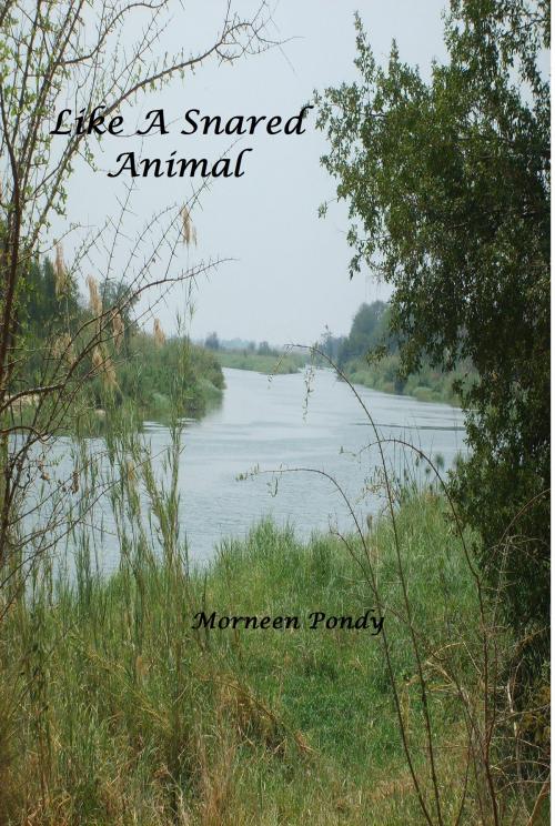 Cover of the book Like a Snared Animal by Morneen Pondy, Morneen Pondy
