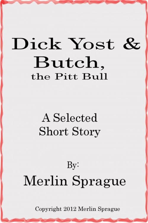 Cover of the book Dick Yost by Merlin Sprague, Merlin Sprague