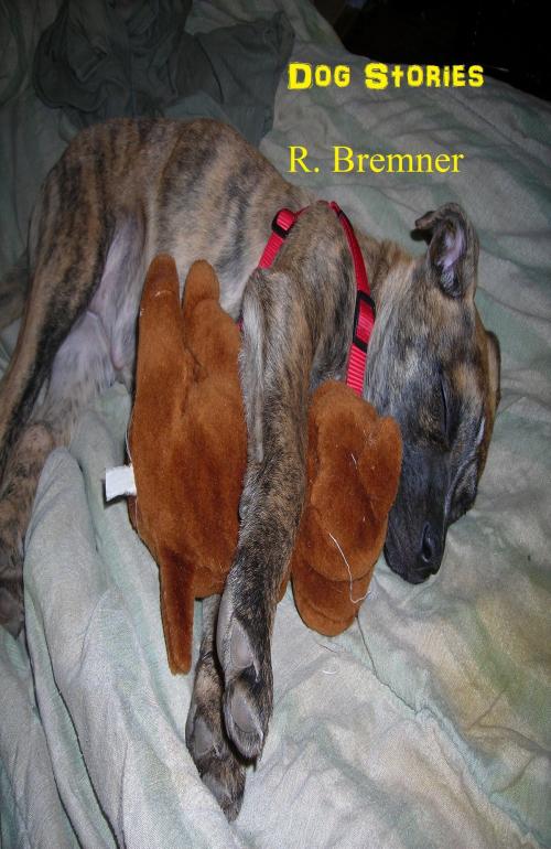 Cover of the book Dog Stories by R Bremner, R Bremner