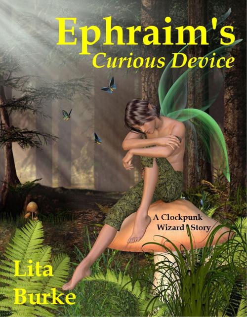 Cover of the book Ephraim's Curious Device by Lita Burke, Lita Burke