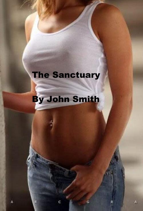 Cover of the book The Sanctuary by John Smith, John Smith