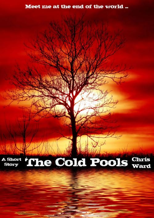 Cover of the book The Cold Pools by Chris Ward, AMMFA Publishing