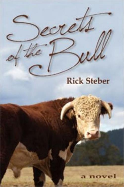 Cover of the book Secrets of the Bull by Rick Steber, Rick Steber