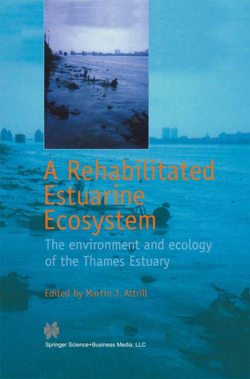 Cover of the book A Rehabilitated Estuarine Ecosystem by , Springer US