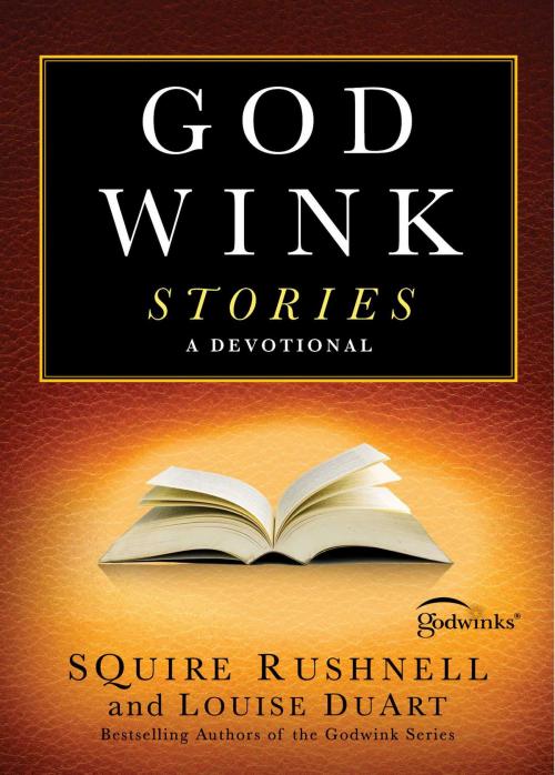 Cover of the book Godwink Stories by SQuire Rushnell, Howard Books