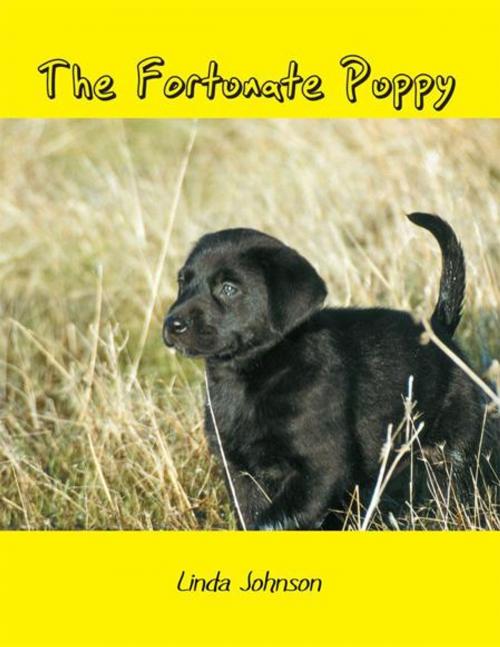 Cover of the book The Fortunate Puppy by Linda Johnson, Balboa Press