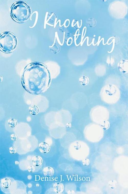 Cover of the book I Know Nothing by Denise J. Wilson, Balboa Press