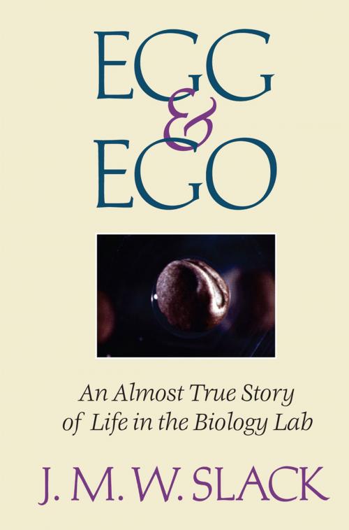 Cover of the book Egg & Ego by J.M.W. Slack, Springer New York