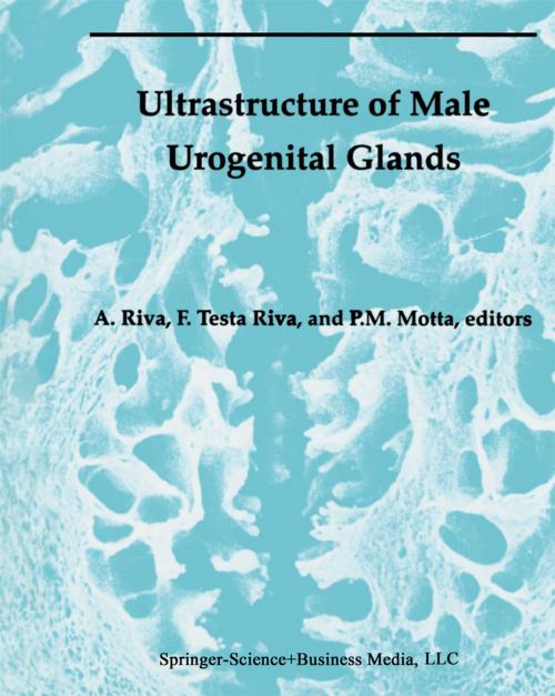 Cover of the book Ultrastructure of the Male Urogenital Glands by , Springer US