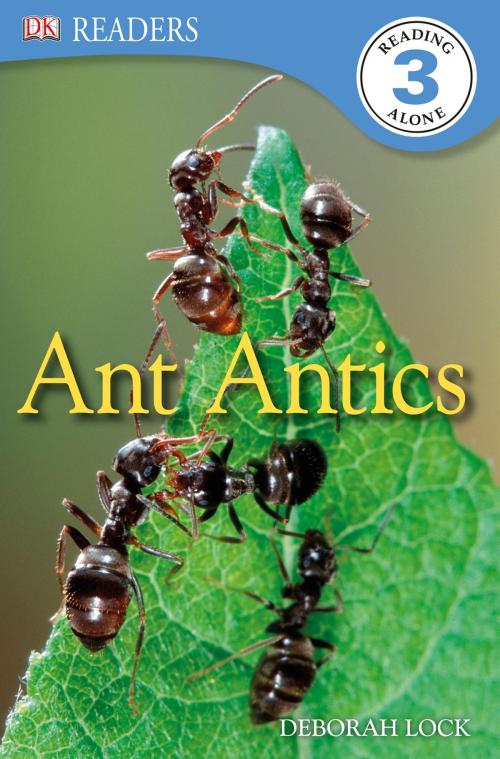 Cover of the book DK Readers L3: Ant Antics by Deborah Lock, DK Publishing