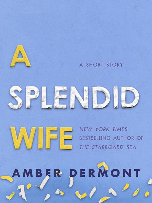 Cover of the book A Splendid Wife by Amber Dermont, St. Martin's Press