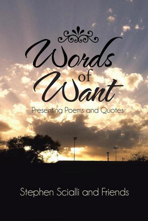 Cover of the book Words of Want by Stephen Scialli And Friends, iUniverse
