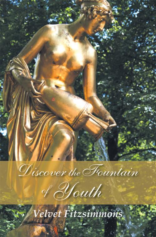 Cover of the book Discover the Fountain of Youth by Velvet Fitzsimmons, Xlibris US