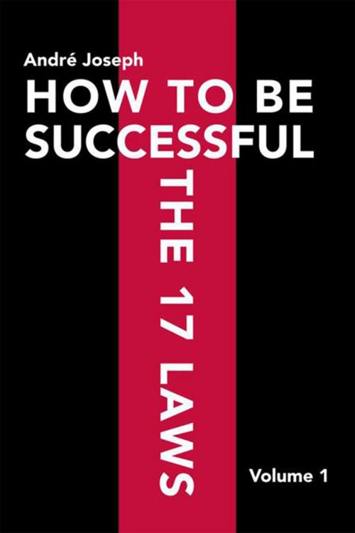 Cover of the book How to Be Successful the 17 Laws by André Joseph, Xlibris US
