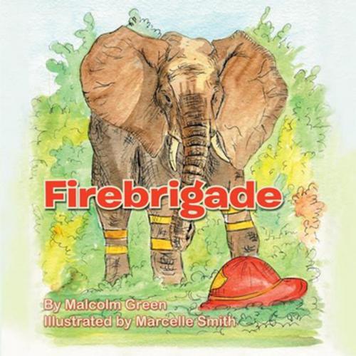 Cover of the book Firebrigade by Malcolm Green, Xlibris UK