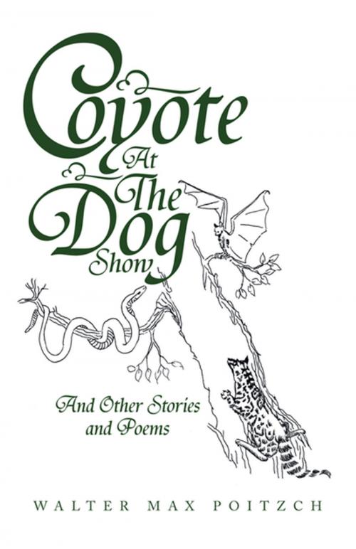 Cover of the book Coyote at the Dog Show by Walter Max Poitzsch, Xlibris US