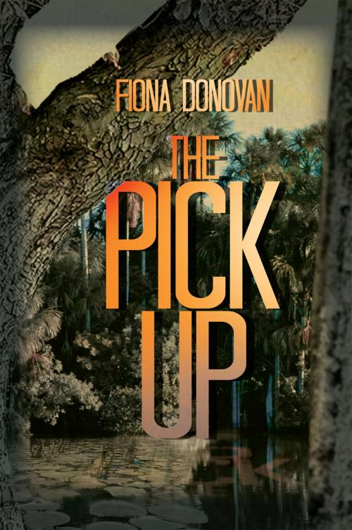 Cover of the book The Pick Up by Fiona Donovan, Xlibris US