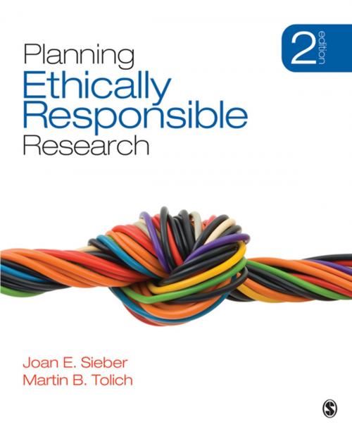 Cover of the book Planning Ethically Responsible Research by Joan E. Sieber, Professor Martin Tolich, SAGE Publications