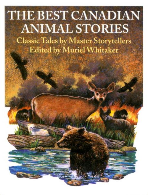 Cover of the book The Best Canadian Animal Stories by , McClelland & Stewart