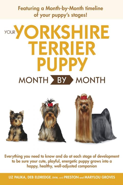 Cover of the book Your Yorkshire Terrier Puppy Month by Month by Liz Palika, Debra Eldredge DVM, DK Publishing