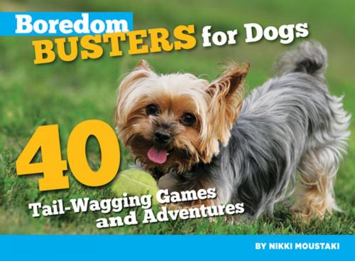 Cover of the book Boredom Busters for Dogs by Nikki Moustaki, CompanionHouse Books