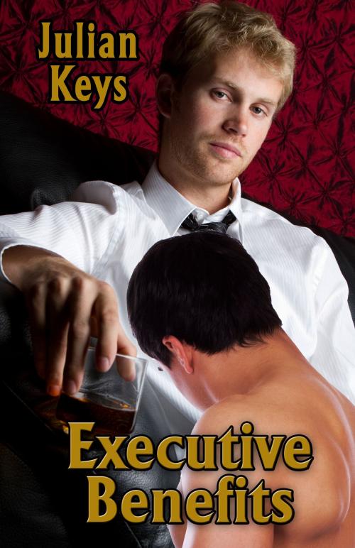Cover of the book Executive Benefits by Julian Keys, Enspire Publishing