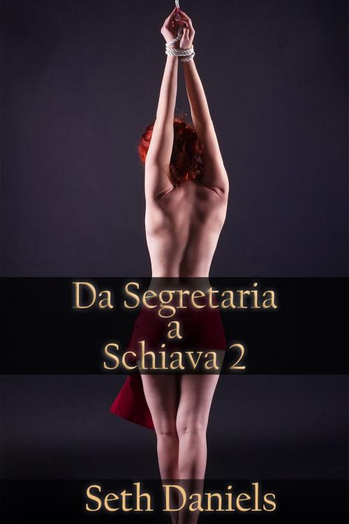 Cover of the book Da Segretaria a Schiava 2 by Seth Daniels, Black Serpent Erotica