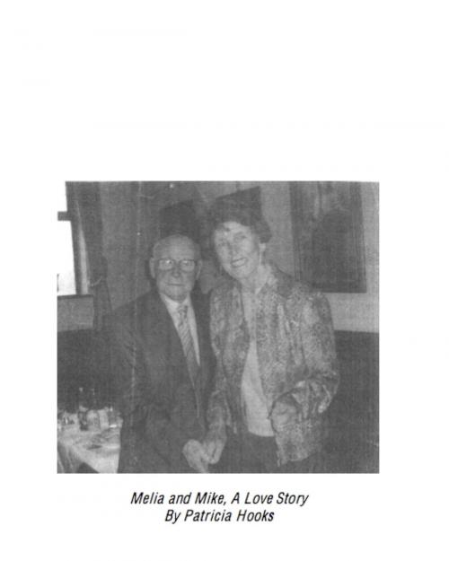 Cover of the book Melia and Mike, a Love Story by Patricia Hooks, BookBaby