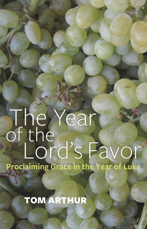 Cover of the book The Year of the Lord's Favor by Tom Arthur, John Hunt Publishing