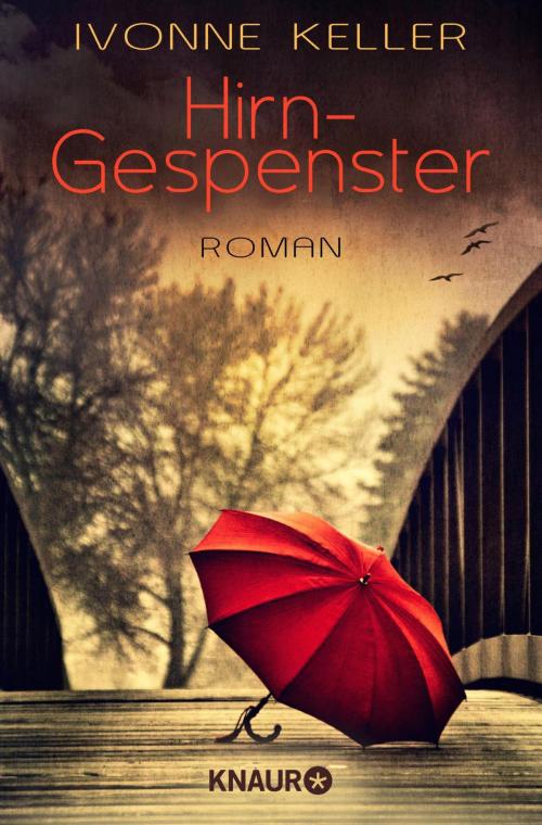 Cover of the book Hirngespenster by Ivonne Keller, Knaur eBook