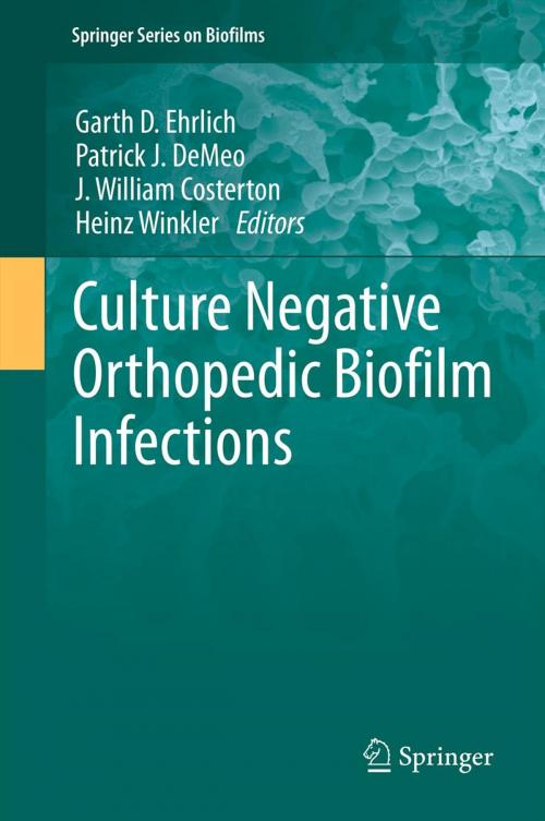 Cover of the book Culture Negative Orthopedic Biofilm Infections by , Springer Berlin Heidelberg