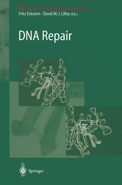 Cover of the book DNA Repair by , Springer Berlin Heidelberg