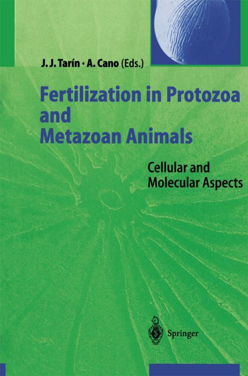 Cover of the book Fertilization in Protozoa and Metazoan Animals by , Springer Berlin Heidelberg