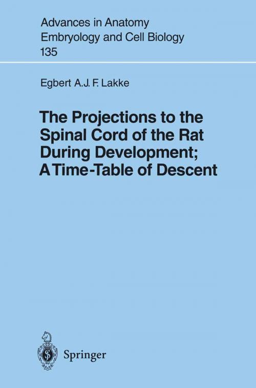 Cover of the book The Projections to the Spinal Cord of the Rat During Development: A Timetable of Descent by Egbert Lakke, Springer Berlin Heidelberg