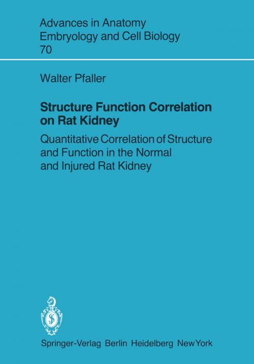 Cover of the book Structure Function Correlation on Rat Kidney by Walter Pfaller, Springer Berlin Heidelberg