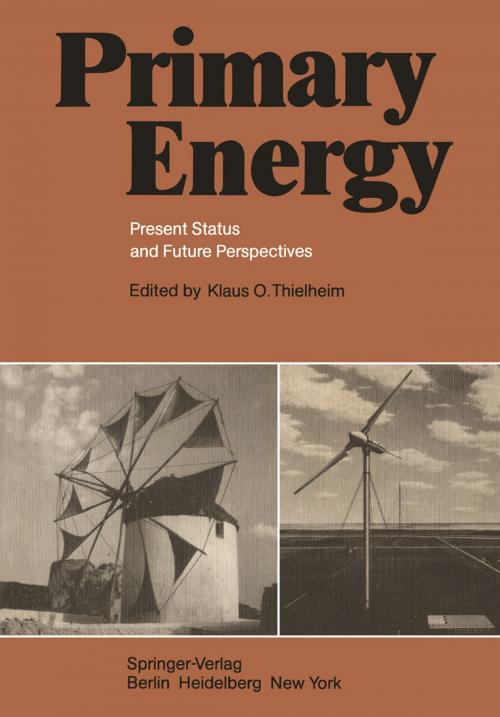 Cover of the book Primary Energy by , Springer Berlin Heidelberg