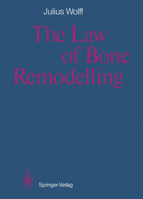 Cover of the book The Law of Bone Remodelling by Julius Wolff, Springer Berlin Heidelberg