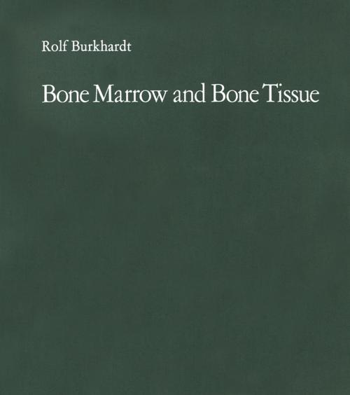 Cover of the book Bone Marrow and Bone Tissue by Rolf Burkhardt, W. Stich, Springer Berlin Heidelberg