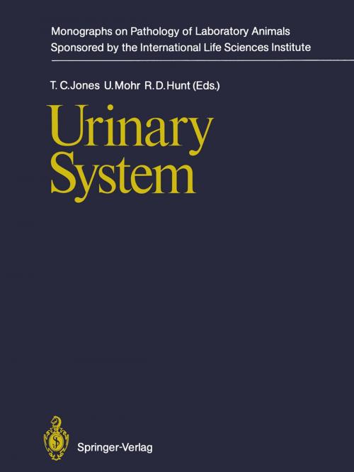 Cover of the book Urinary System by , Springer Berlin Heidelberg