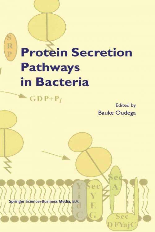 Cover of the book Protein Secretion Pathways in Bacteria by , Springer Netherlands