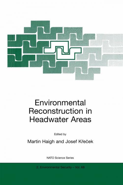 Cover of the book Environmental Reconstruction in Headwater Areas by , Springer Netherlands