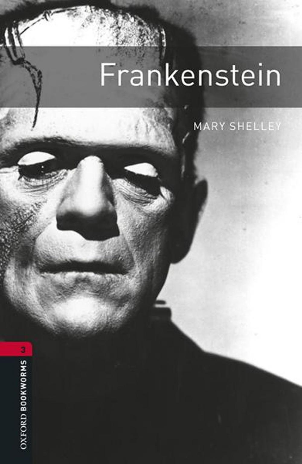 Big bigCover of Frankenstein