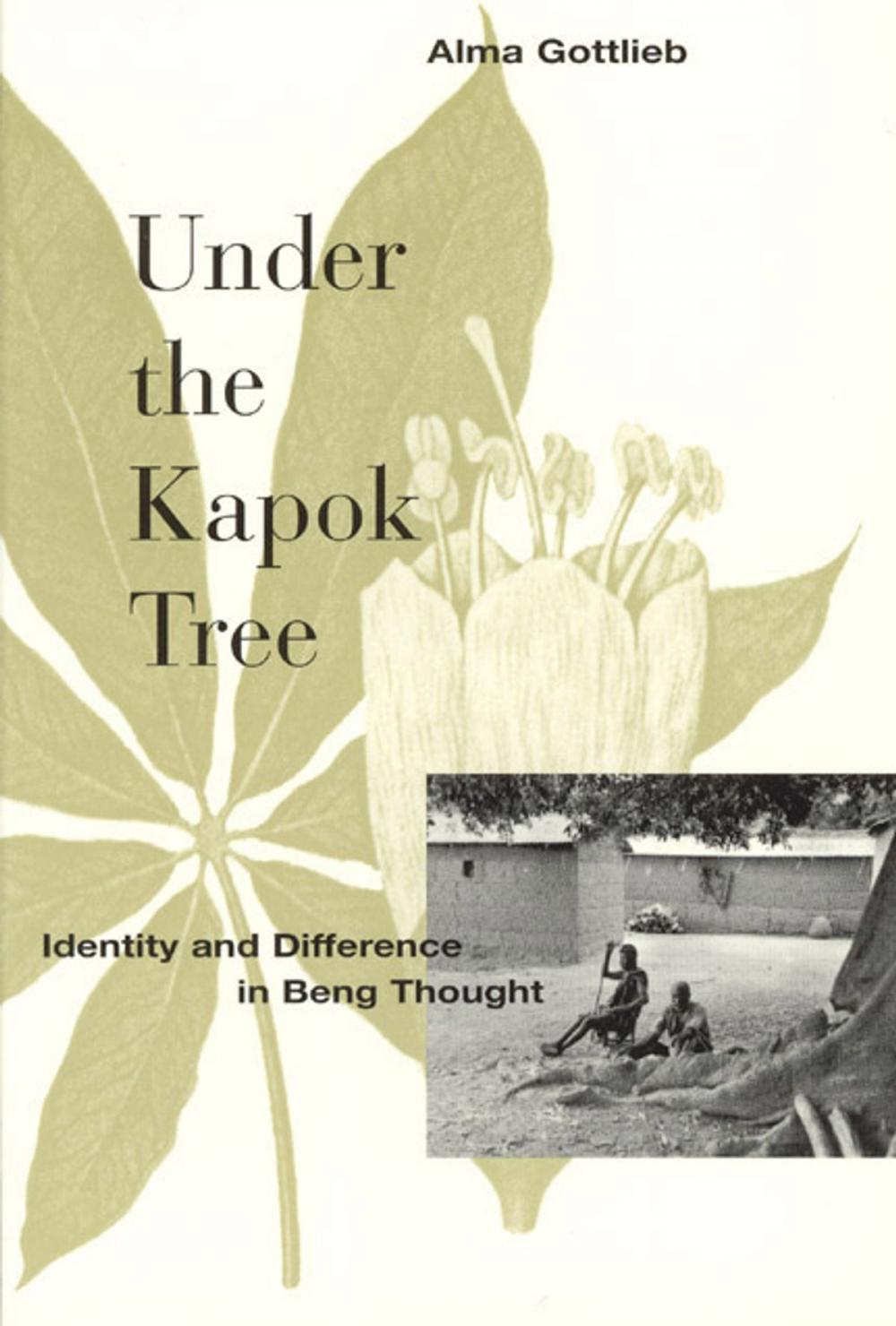 Big bigCover of Under the Kapok Tree