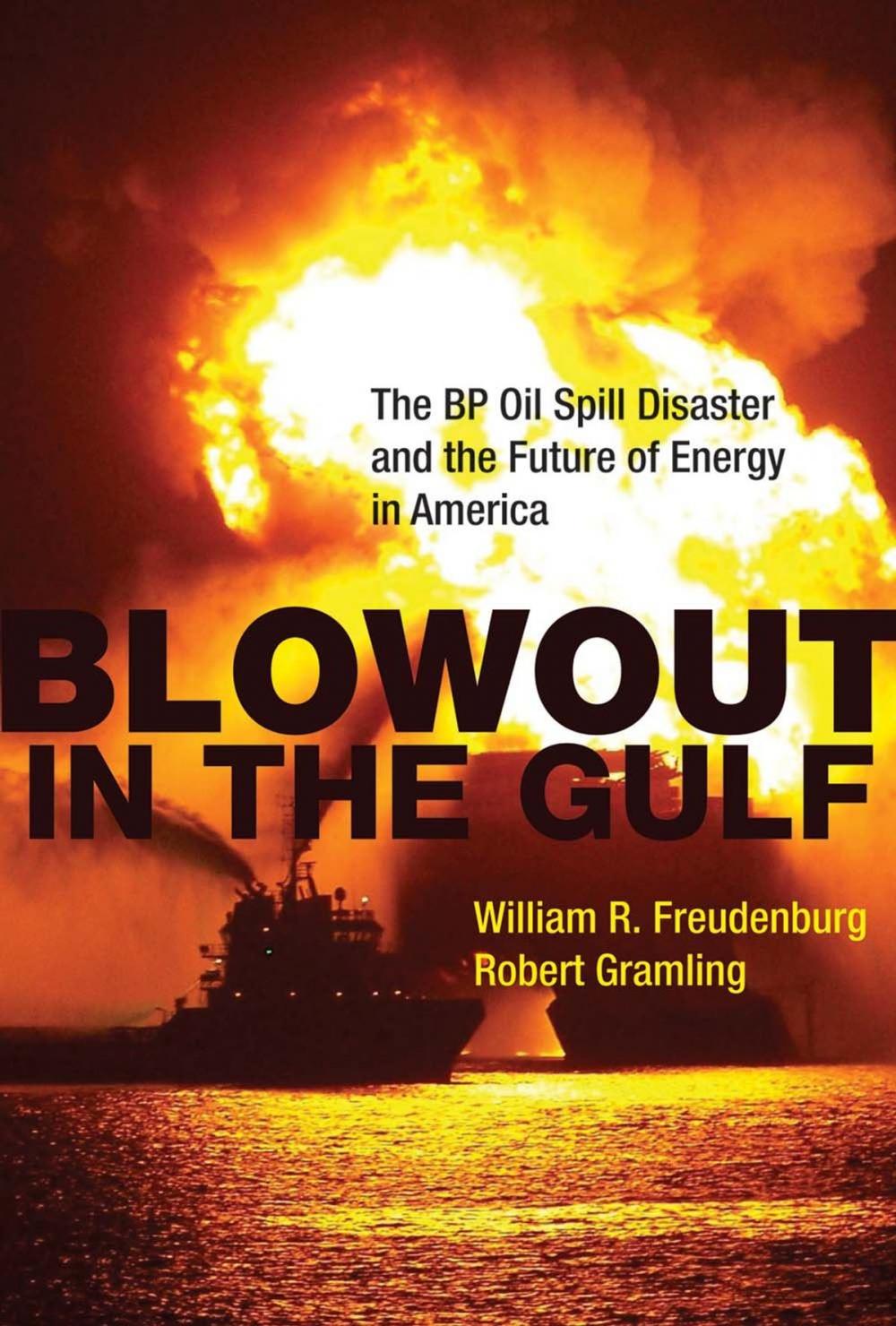 Big bigCover of Blowout in the Gulf